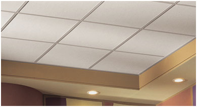 Ceiling Materials